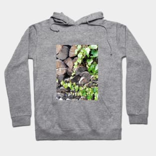 made by nature Hoodie